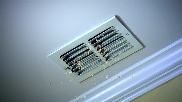 Best Affordable Duct Cleaning Services  in Franklin, OH